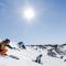 27 Alpine Brumby
