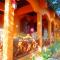Fuego Mio Bed & Breakfast