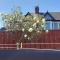 Newport rental property Furnished studio near train station Free Wifi Parking