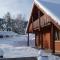 Chalet Les 2 Bouleaux à 2 pas de GERARDMER et des lacs