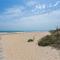 Oliwood Beach - Gilda