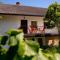 Rustic House in a Beautiful Village - Cerklje ob Krki