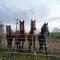 The Stable Springmount Accommodation - Dromara