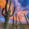 Rio Rancho Verde Two Bedroom Suite