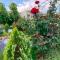Maria Garden