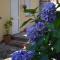 Maison Brinati Bed and Breakfast - Monsummano