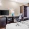 Sleep Inn & Suites Johnson City - Johnson City