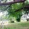 Cottages et B&B de Troussay - 谢韦尔尼