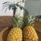 Ananas appart - Saint-Denis