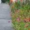 Crow's Nest - Private Guest Apt Near Bike Trail/3.7 mi to Beach - Льюис