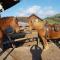 Beaver Creek Ranch