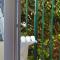 Raiano Guest House