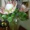 Protea Wilds Retreat - Harkerville
