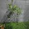 DreamScape Holiday Apartment Kalutara