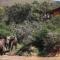 Barefoot Addo Elephant Lodge - Addo