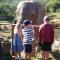 Barefoot Addo Elephant Lodge - Addo