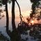 The Pine View Home Stay