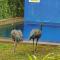 Nature Paradise Guesthouse