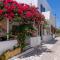 Hotel Antiparos