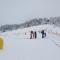 Alpensuss