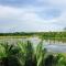 Rice Field View Home Stay