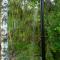 Troll House Eco-Cottage, Nuuksio for Nature lovers, Petfriendly - إسبو