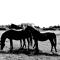 Cottages et B&B de Troussay - 谢韦尔尼