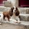 Cottages et B&B de Troussay - 谢韦尔尼
