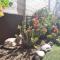 Moon in the garden - Los Realejos