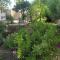 Apartments Stari Pavle