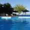 Casa di Oliva-house with heated pool & jacuzzi in Trilj, Croatia - Trilj