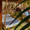 La Bohème Boutique Glamping