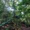 Jungle Living Tree Houses - Monteverde