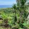 LiRi Villa - Ocean, hills, valley view