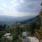 The Pine View Home Stay