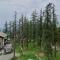 STUDIO CENTRE ET PIED DES PISTES
