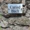 Cariad Bach