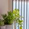 Seafront Baska Apartment