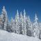 Mountainside Cozy Walk to Gondola Hot Tub Condo