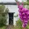 Brynarth Country Cottages - Aberystwyth