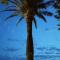 Sublime vue mer,parking,wifi - Fréjus