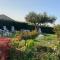Villa Mascitti B&B Tortoreto Alto