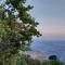 Vlamis House Andros