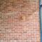 Cosy Brick Beachouse - ALL INCLUDED