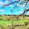 Treehouse in Devon - 2 bedrooms - Beaworthy