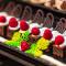 Voya Beach Resort - Ultra All Inclusive - Sveti Vlas