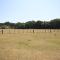 Avondale New Forest