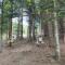 Durmitor Apartments Holiday - Žabljak
