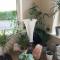 Relax at Safe Haven - Carlingford
