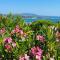 VUE MER IMPRENABLE ET PISCINE - 邦多勒